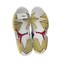 Jordan 6 Retro Carmine (2021)