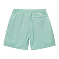 Stussy Big Basic Water Short Mint