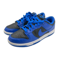 Nike Dunk Low Retro Black Hyper Cobalt (2021)