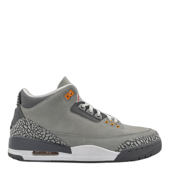 Jordan 3 Retro Cool Grey (2021)