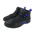 Jordan 12 Retro Black Dark Concord
